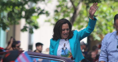 Democrats Lie to Themselves About Why Their Party Is Collapsing