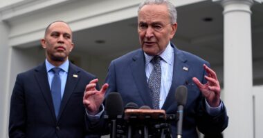 Democrats see party as ‘weak and ineffective,’ new poll finds
