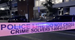 Dems Don't Get To Act Thoughtful About Fixing Their Crime Fiasco
