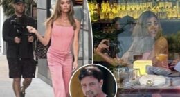 Denise Richards returns to 'RHOBH' amid contentious divorce from Aaron Phypers