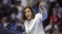 Desperately Seeking a Pro-Growth Democrat – HotAir