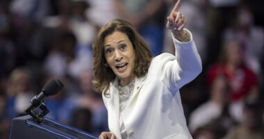 Desperately Seeking a Pro-Growth Democrat – HotAir
