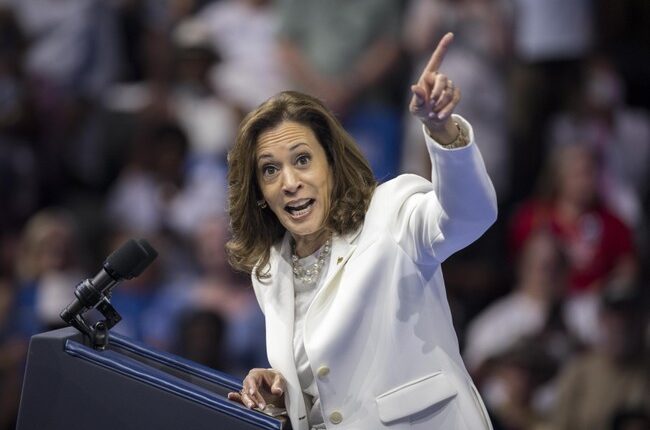 Desperately Seeking a Pro-Growth Democrat – HotAir