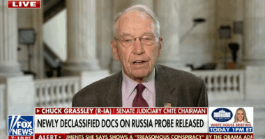 Docs Show FBI 'Never Followed Up On' Russia Hoax Info