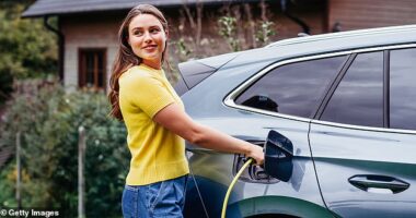The ECG offers car buyers money off new all-electric models that are sustainably manufactured and priced at ¿ or under ¿ £37,000