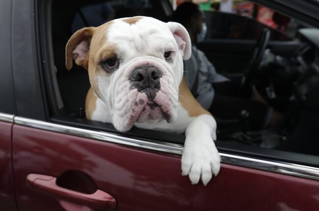 Dogging the Wrong Things for Their 'Climate Impact' – HotAir