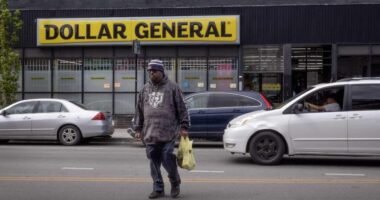 Dollar General says it’s getting the ‘value’ thing right. The stock is rallying.