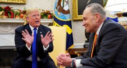 President Donald Trump detonated a high-stakes Senate negotiation with an outburst on social media on Saturday night telling Senate Minority Leader Chuck Schumer to 'GO TO HELL' (File photo from December 2018 during Trump's first term)