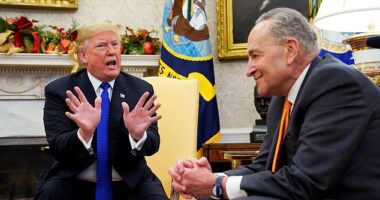 President Donald Trump detonated a high-stakes Senate negotiation with an outburst on social media on Saturday night telling Senate Minority Leader Chuck Schumer to 'GO TO HELL' (File photo from December 2018 during Trump's first term)