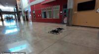 A Texas company is testing weaponized drones in schools to assist during shootings