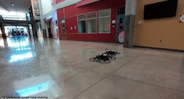 A Texas company is testing weaponized drones in schools to assist during shootings