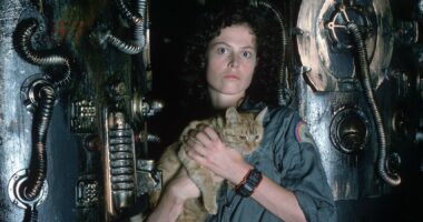 Earth's Callback To Jonesy The Cat Explained