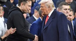Elon Musk (pictured left) attempted a peace offering with Donald Trump (pictured right) after the ex-'First Buddy' split from the White House, giving $15million to Trump and Republican causes