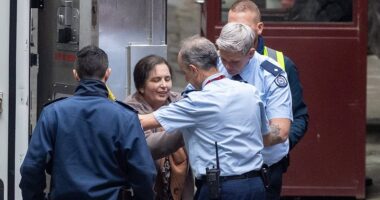 Erin Patterson court LIVE updates: Lone survivor delivers a truly astonishing message to the mushroom lunch murderer after she killed his wife and in-laws - as he breaks down in court