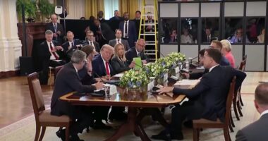 European Leaders Praise Trump for Breaking 'Deadlock' With Russia.