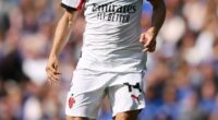 AC Milan (pictured) have the permission of the Italian Football Federation (FIGC) to host a domestic league match against Serie A rivals Como in Perth next year