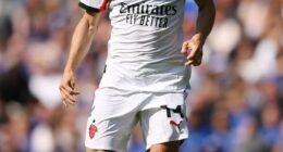 AC Milan (pictured) have the permission of the Italian Football Federation (FIGC) to host a domestic league match against Serie A rivals Como in Perth next year