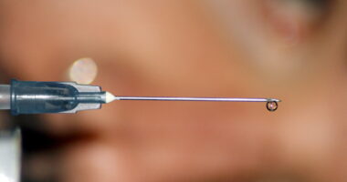 Euthanasia Demand Overwhelms Providers.