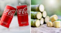 Experts Break Down Why Coke’s Cane Sugar Swap Won’t Make Consumers Healthier
