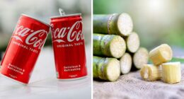 Experts Break Down Why Coke’s Cane Sugar Swap Won’t Make Consumers Healthier