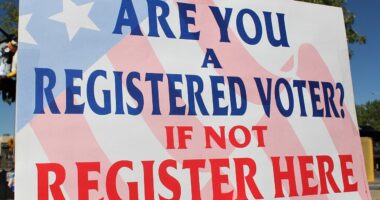 Voter registration sign