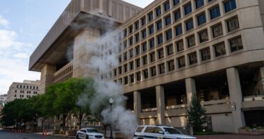 FBI sending 120 agents into DC streets as Trump targets carjacking and crime in capital