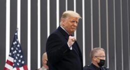 The FTSE 100 hit a record yesterday as European markets rallied on hopes of peace in Ukraine. London’s index of blue-chip stocks ended the session up 0.3 per cent at 9189.22 – its highest ever close. The rally came after Donald Trump held talks with Ukrainian president Volodymyr Zelensky and European allies, including Keir Starmer, at the White House.