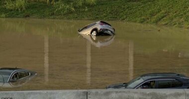 Three people, including a child, were crushed to death by a falling tree as disastrous floods hit Tennessee overnight. (Pictured: File Photo of sinking car in flood water in Chattanooga)