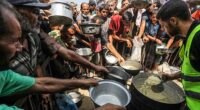 Gaza City will be declared to be in famine for the first time by the international body responsible for monitoring world hunger, it has been reported. Pictured: People carried pots and pans to collect food from aid workers in Gaza on Sunday, August 10