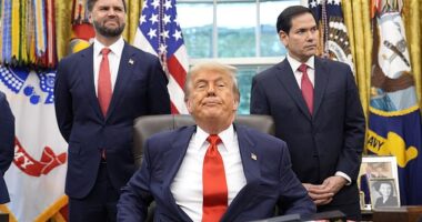 JD Vance (left) and Marco Rubio (right) are stars of President Donald Trump's administration