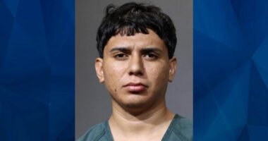 Florida Man Charged With Murder in Weekend Stabbing Death of His Mother