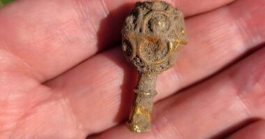 The gold object, which dates back to the 800s, is approximately one and a half inches long and has a decorative ornament on one end