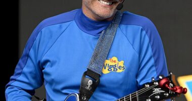 The former chief executive of The Wiggles claims he was undermined by the blue Wiggle Anthony Field (pictured) in front of staff after raising concerns about friends and family members being employed by the children's entertainment group