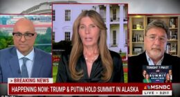 MSNBC host Nicolle Wallace (pictured center) claimed Donald Trump 'doesn't give a s*** about democracy' in a profanity-laced tirade about the president's meeting with Vladimir Putin