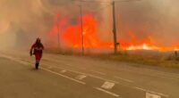France and Spain hit by red weather warnings as Europe burns in 44C heatwave