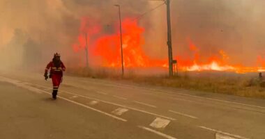 France and Spain hit by red weather warnings as Europe burns in 44C heatwave