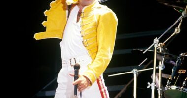 Author Lesley-Ann Jones has come under attack from Queen ¿loyalists¿ as she prepares to publish Love, Freddie ¿ a bombshell book based on the diaries of Freddie Mercury