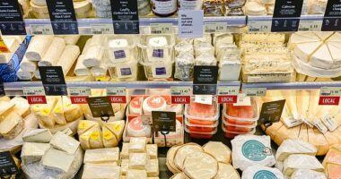 The ECDC suspect the outbreak was spread via contaminated dairy products supplied by one French manufacturer