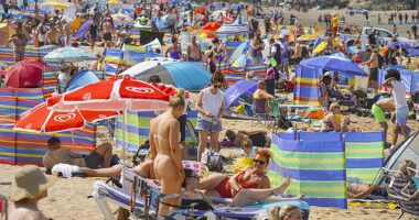 People working from home are reportedly clocking off early on Fridays during summer to grab pints at a beer garden (people are pictured on a beach in Newquay, Cornwall, on a busy Friday)