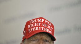 From John Bolton to Lisa Cook, Trump has turned America into an emerging market
