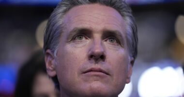Gavin Newsom Hardest Hit As Attack on Mike Johnson Over 'Crime in Shreveport' Collides With Reality Check – RedState