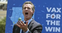 Gavin Newsom's Imbecilic Response to Bed Bath and Beyond News Prompts Smackdown From Executive Chairman – RedState