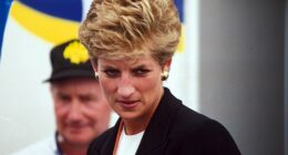 Princess Diana, pictured here at The British Grand Prix in 1994, may have been 'set up as a date for disgraced financier Jeffrey Epstin, Ghislaine Maxwell has claimed