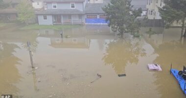 Alaskans were forced to evacuate their homes after the Mendenhall River was overwhelmed on Tuesday, sending dangerous floodwaters and debris into surrounding communities. Pictured: Flooding from a release of water and snowmelt at Mendenhall Glacier on August 13, 2025 in Juneau, Alaska