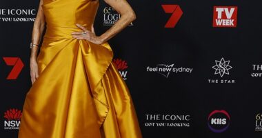 Home and Away royalty Lynne McGranger lit up the red carpet at the 65th TV WEEK Logie Awards on Sunday night
