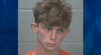 Grandson Tells Cops ‘Grim Reaper’ Told Him to Kill ‘Grammie’ Before Hatchet Attack