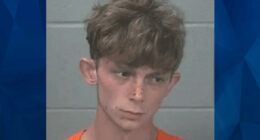 Grandson Tells Cops ‘Grim Reaper’ Told Him to Kill ‘Grammie’ Before Hatchet Attack