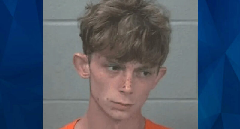 Grandson Tells Cops ‘Grim Reaper’ Told Him to Kill ‘Grammie’ Before Hatchet Attack