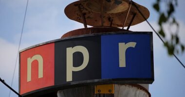 The logo of the National Public Radio, which will be without federal funding after almost six decades in September when the company responsible for funneling federal funds to the broadcaster fully closes