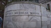 Harvard Continues Race-Based Admissions: Complaint